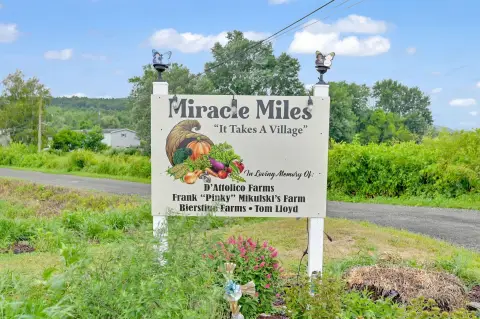 Pine Island Farmland with Residence