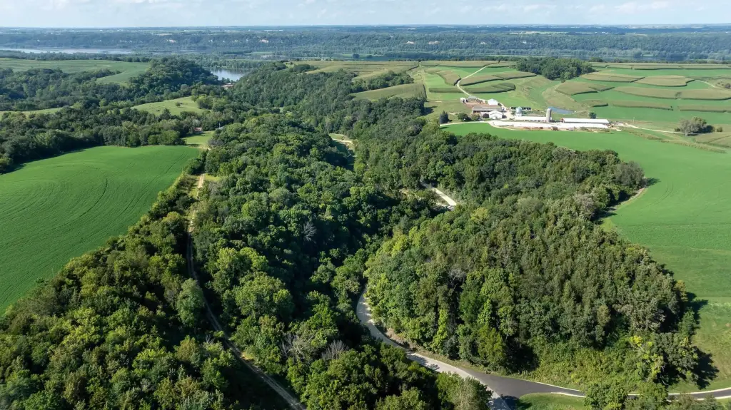 Picture 8