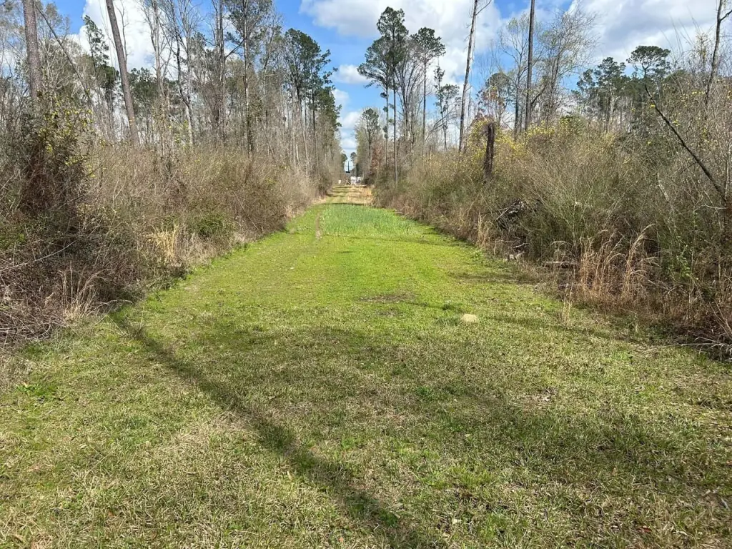 Picture 10
