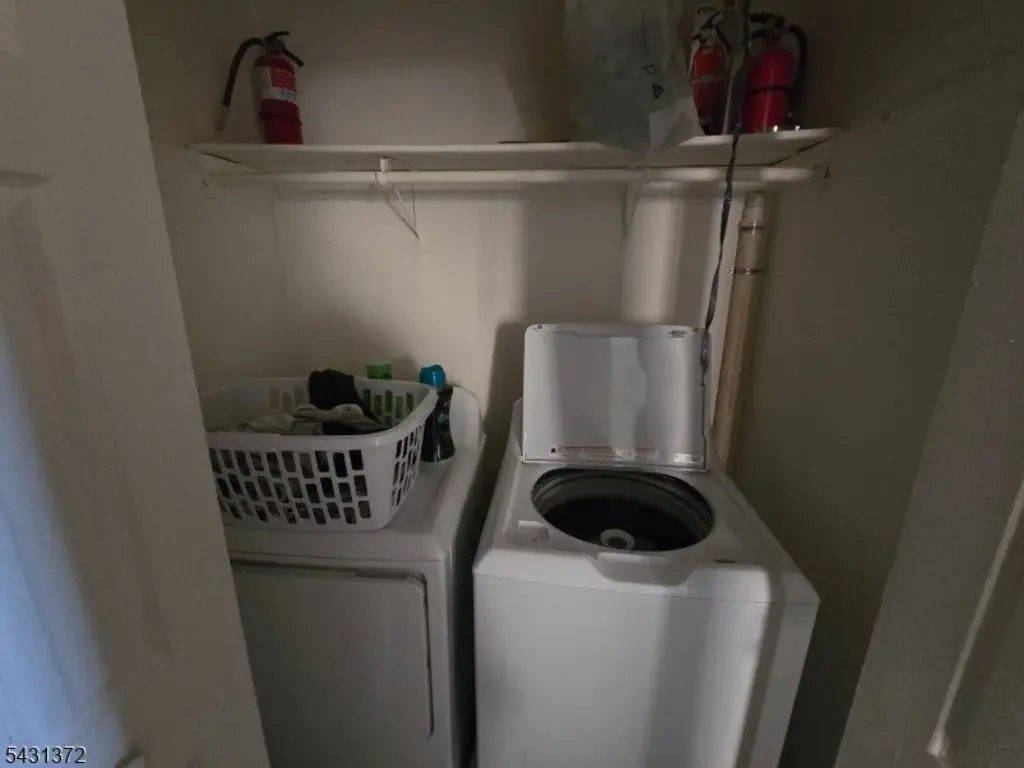 Picture 19