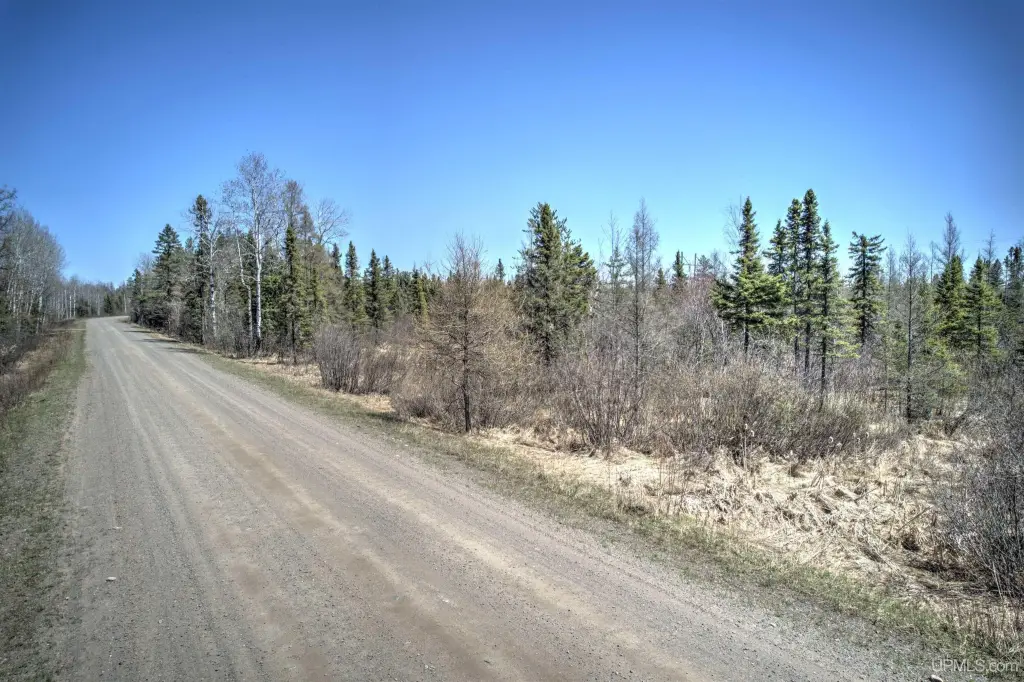 Picture 3
