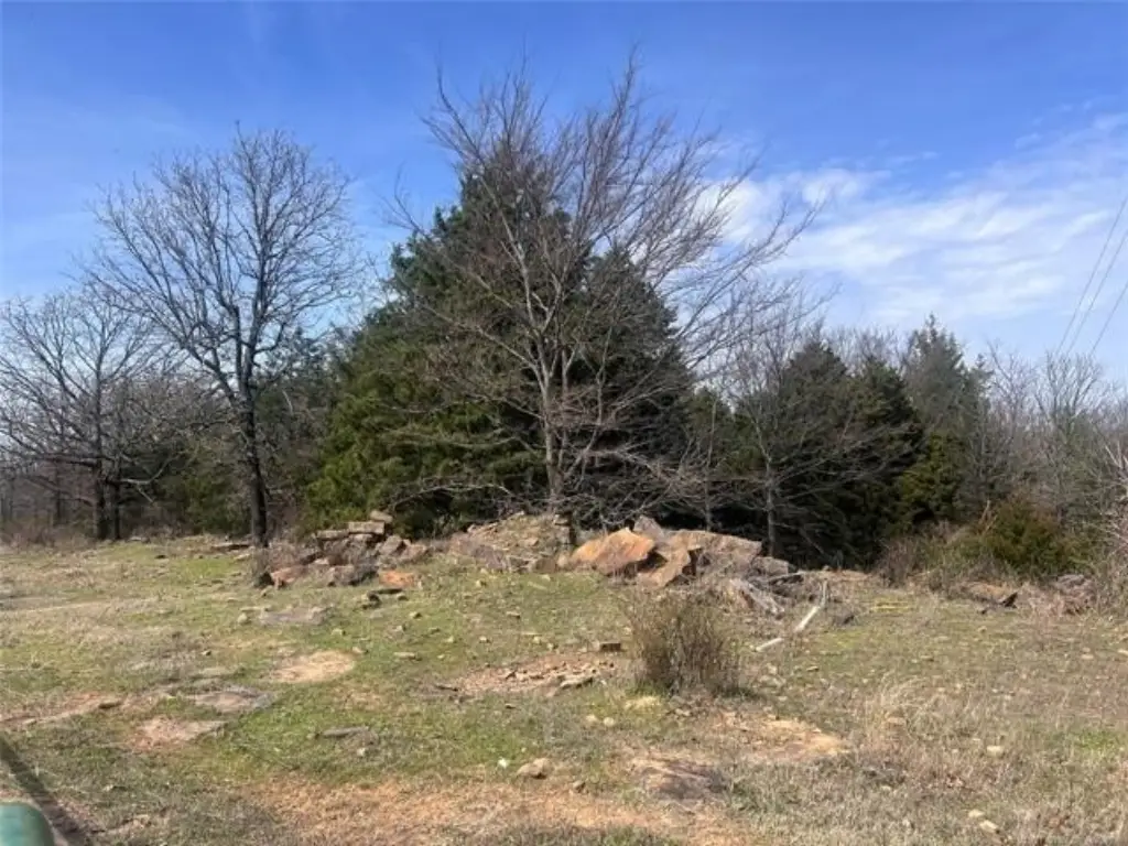 Picture 3