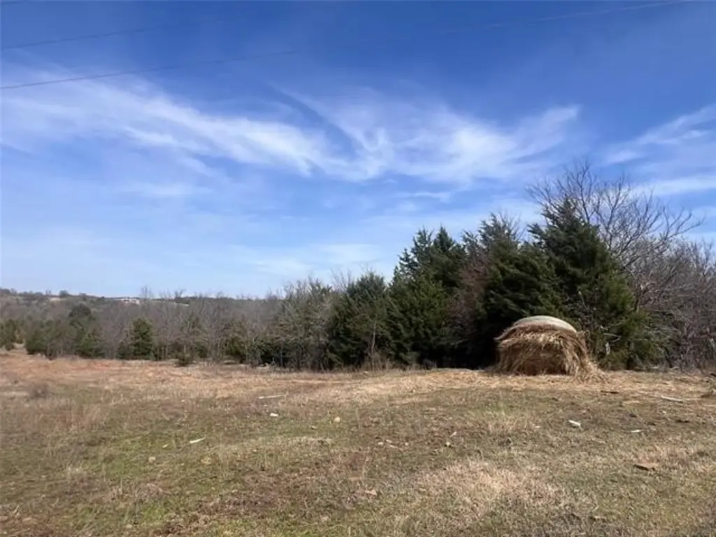 Picture 5