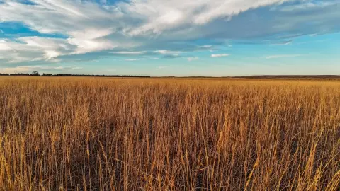 Holyoke Vacant Land For Sale