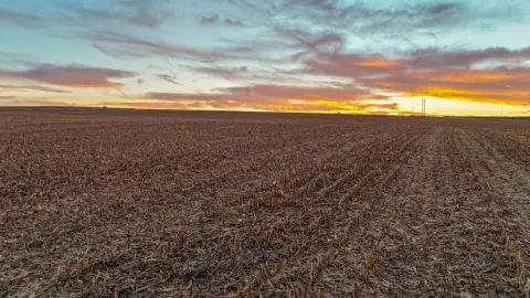 Nebraska Irrigated/Dryland/Pasture Land Auction