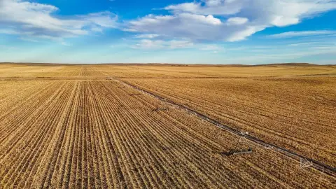 Irrigated Cropland and Pasture Land
