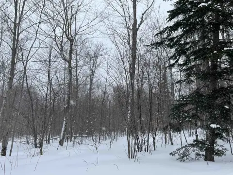 49 Acres in Sheffield Retreat