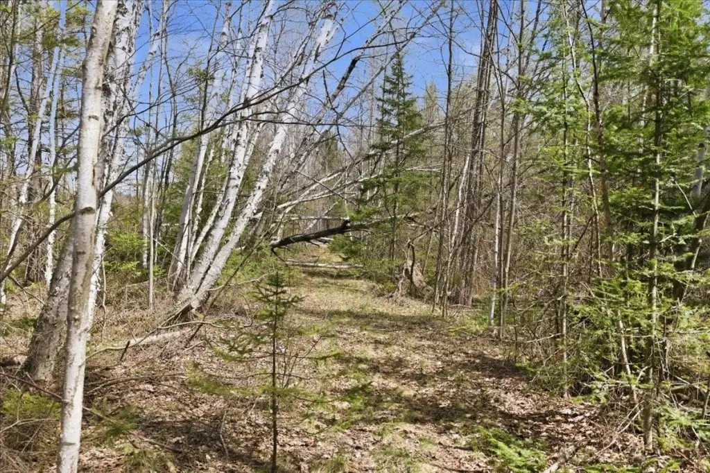 Picture 14
