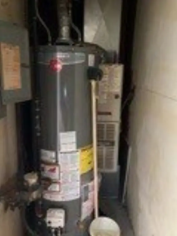 Picture 16