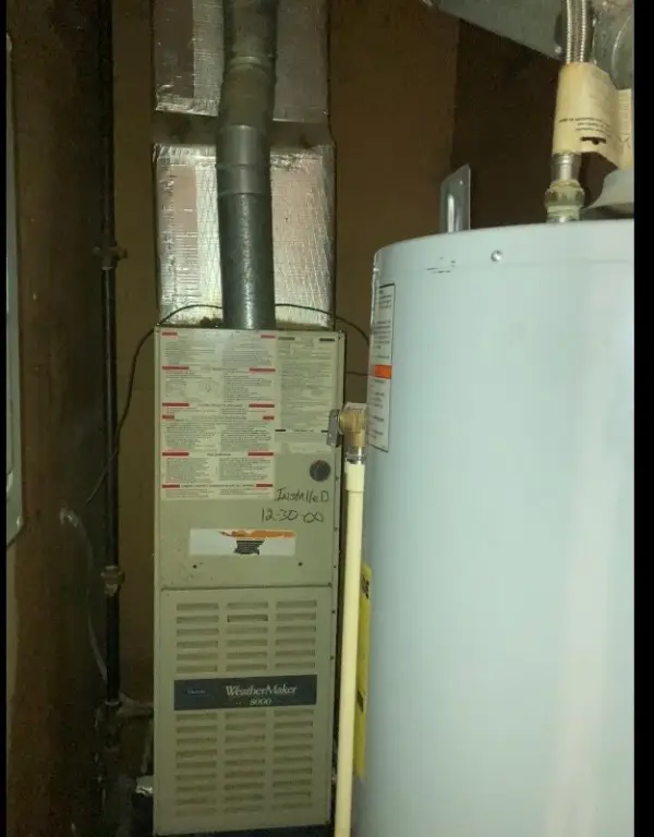 Picture 11