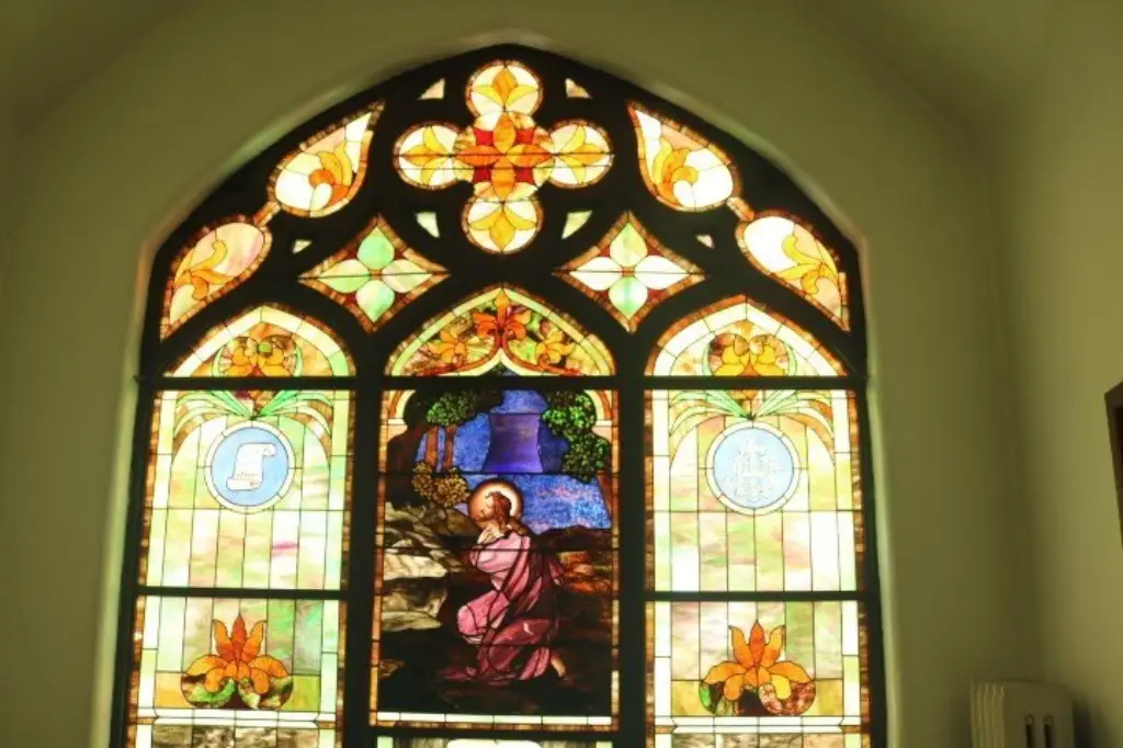 Picture 8