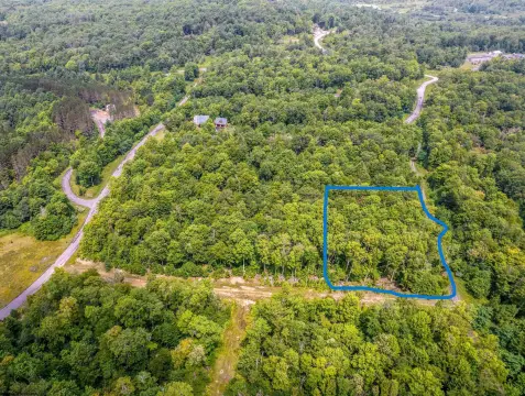 Residential Land in Davis, WV