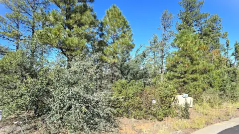 Residential Land in Wooded Neighborhood