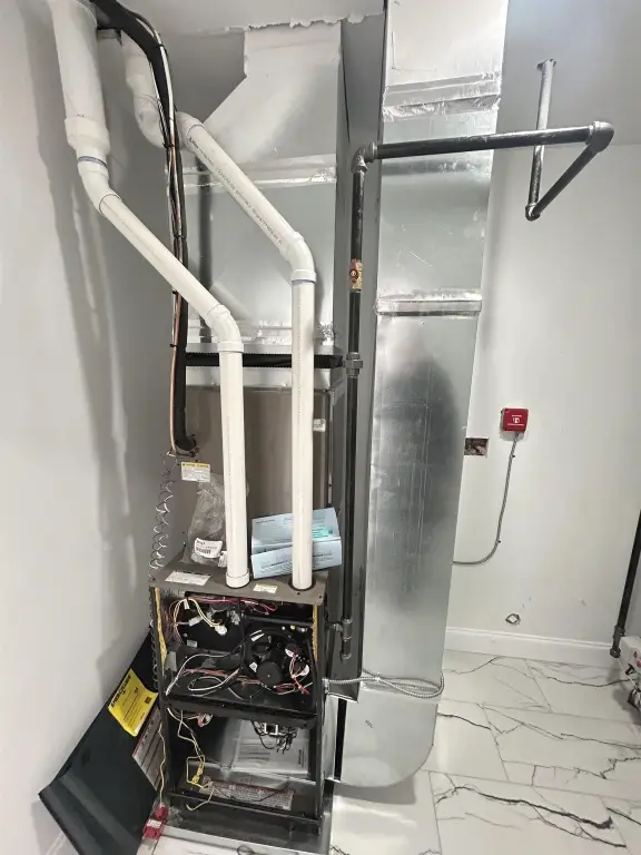 Picture 21