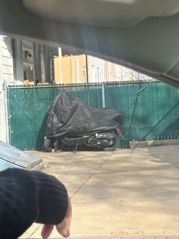 Picture 47