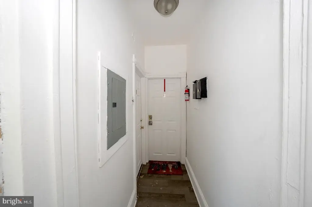 Picture 7