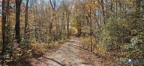Land in Center Cross, VA