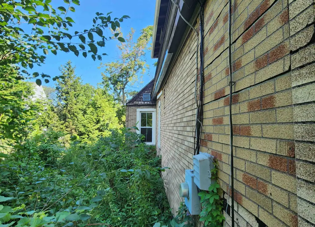 Picture 20