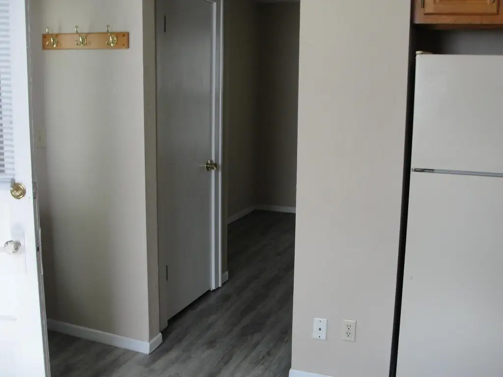 Picture 11