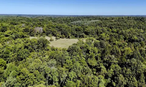 82.37 Acres of Wooded Land