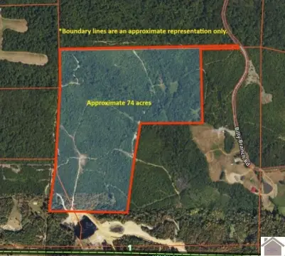 74 Acres Near Kentucky Lake