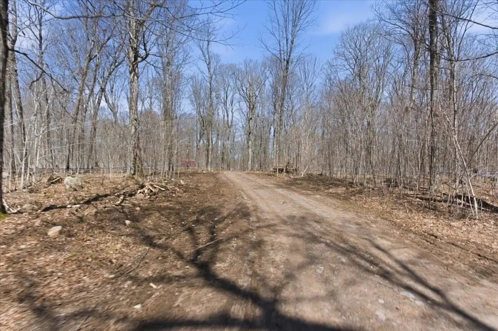 Picture 24