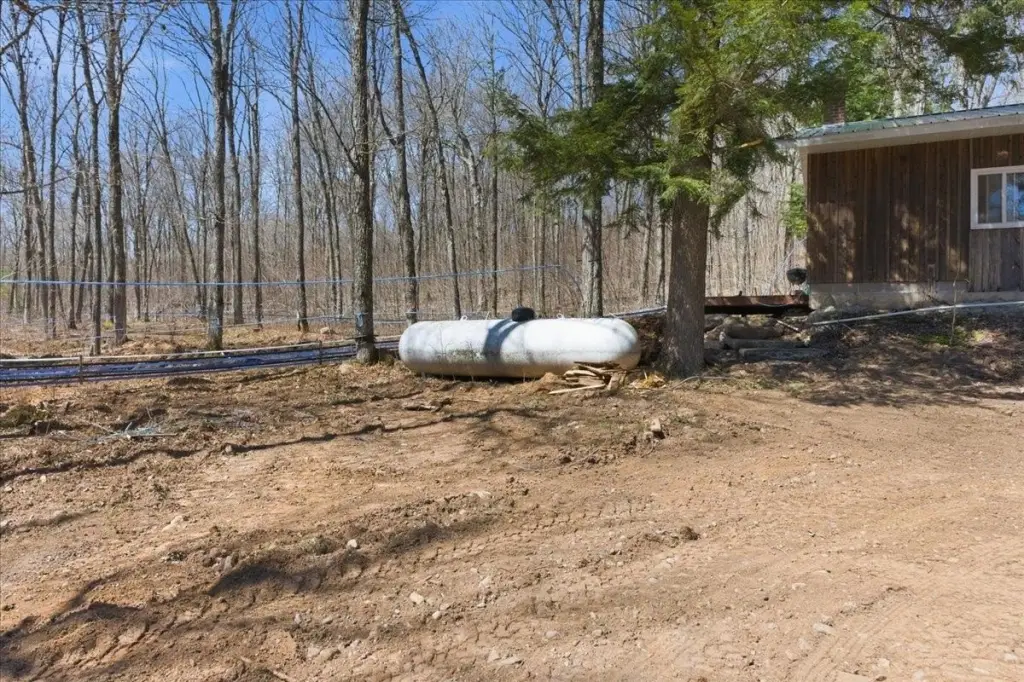 Picture 15