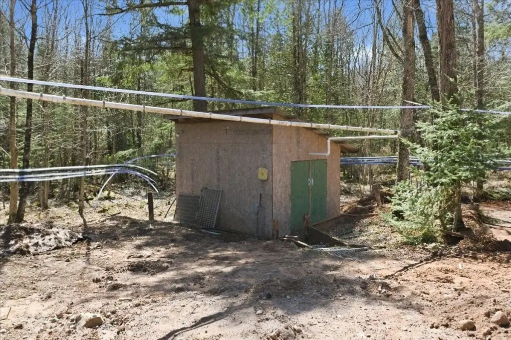 Picture 14