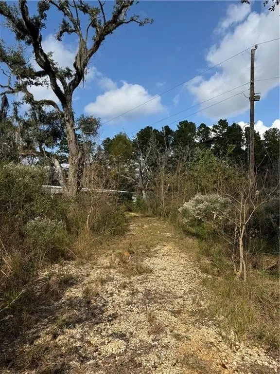 Picture 11