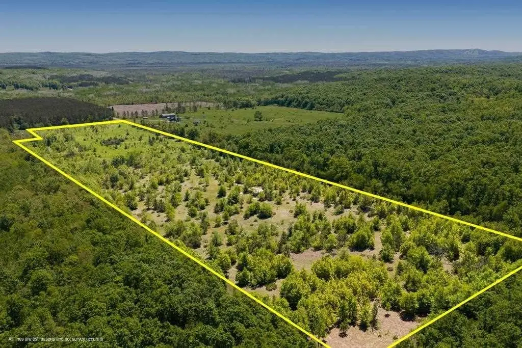 Picture 3