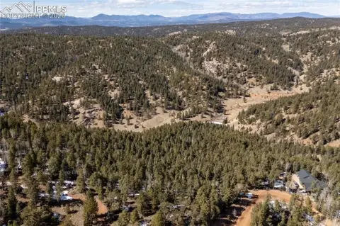 Picture of Residential land & home lots at 81 Haven Road, Divide, CO