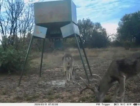 Mullin, TX Hunting and Recreational Ranch