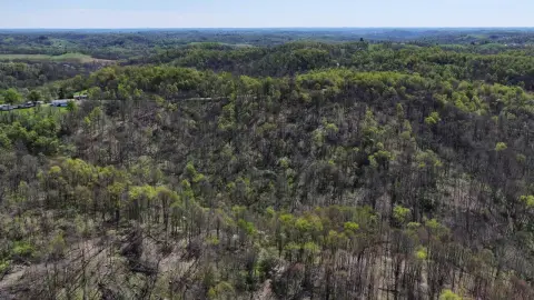 Picture of Hunting land at 59900 Ramsey Ridge Road, Jacobsburg, OH
