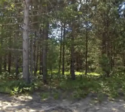 Land in Kaleva, Michigan