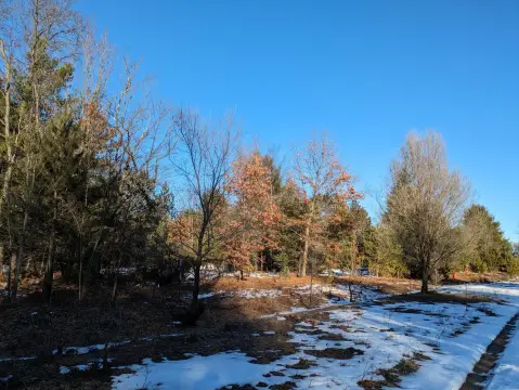 Land in Kaleva, Michigan