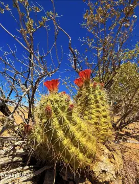 Picture of Land at 5201 Tamara Drive, El Paso, TX