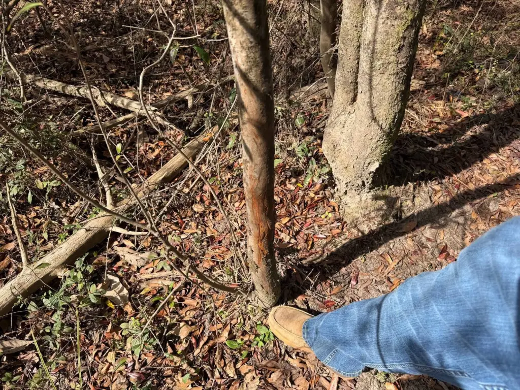 Picture 27