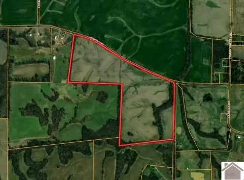 81 Acres in Ballard County