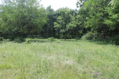 Picture of Agricultural land / Farmland at 182nd Avenue, Maquoketa, IA