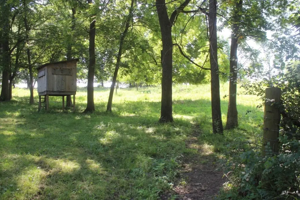 Picture 5