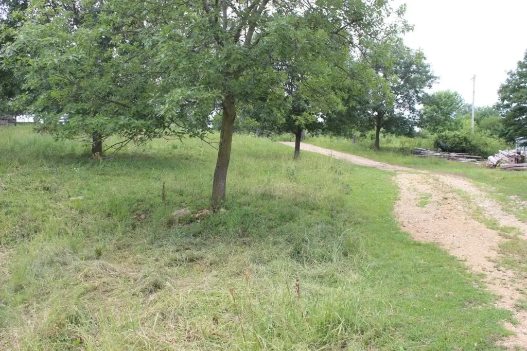 Picture 7
