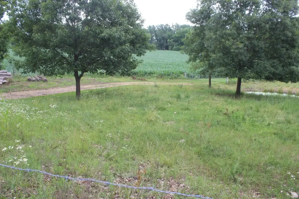 Picture 3