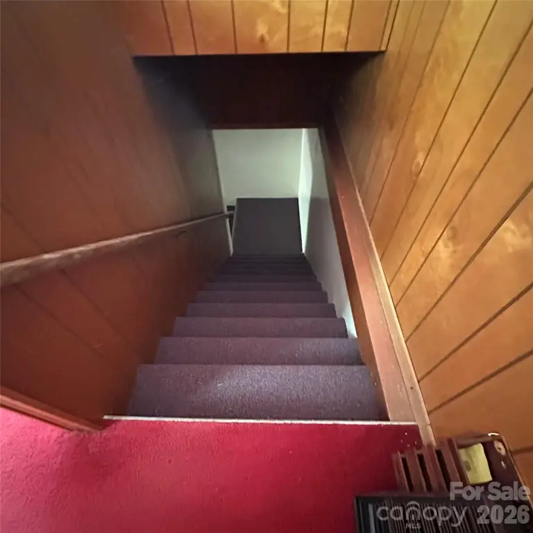Picture 28