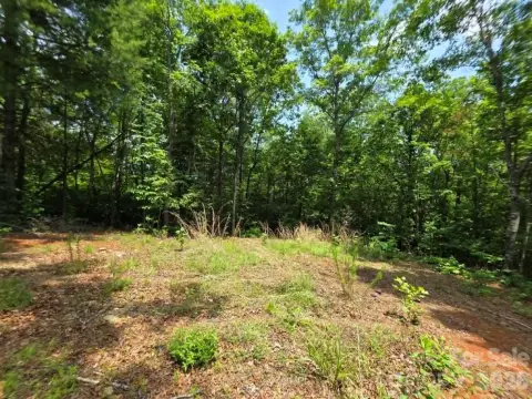 Picture of Residential land & home lots at 169 Fairfield Lane, Marion, NC