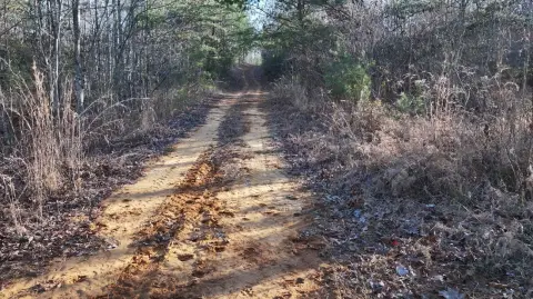 Tennessee Land with Creek and Forest