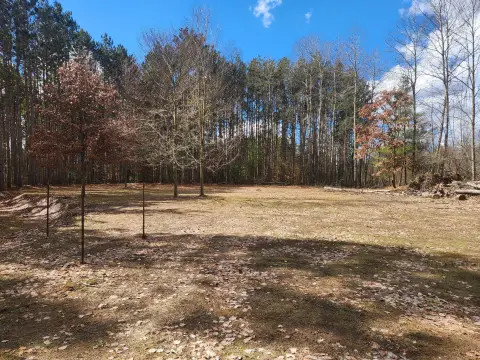 Picture of Residential land & home lots at 8 MILE ROAD, Stanwood, MI