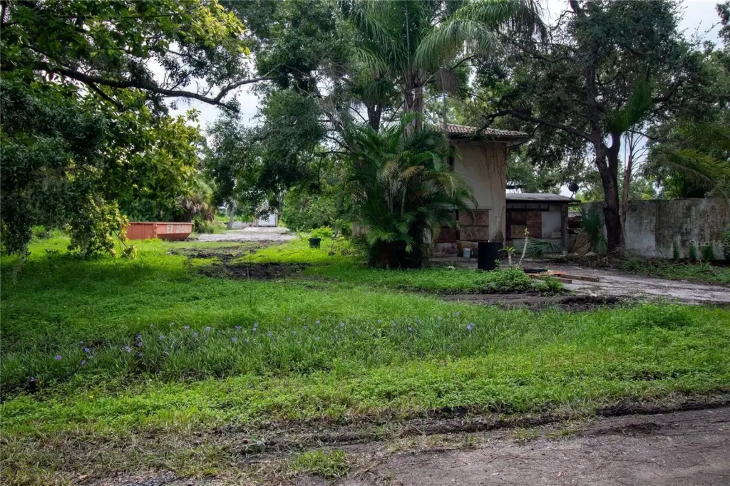 Picture 16