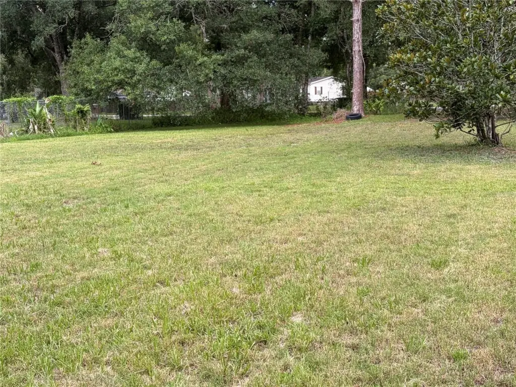 Picture 8