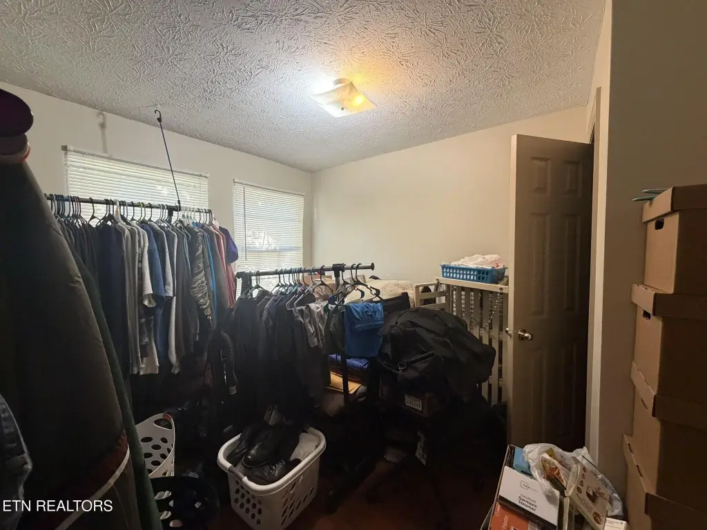 Picture 24