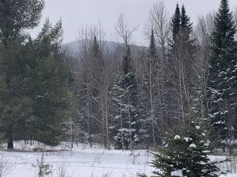 Secluded Land Parcel in Columbia